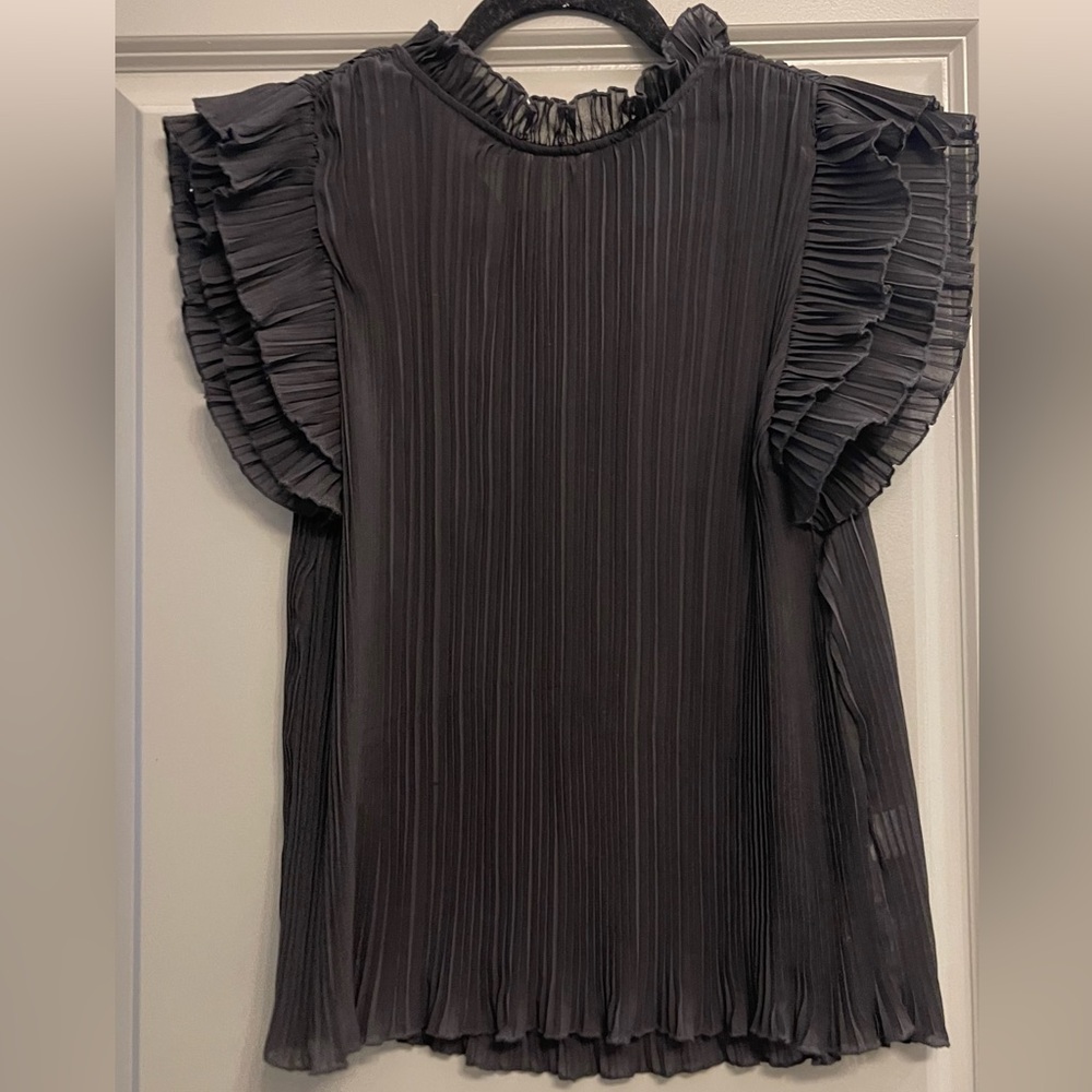Elegant Pleated Sheer Ruffle Sleeve Top